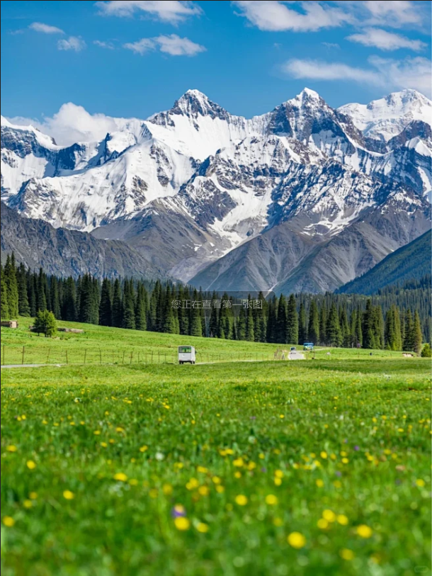 5bd7c8fd22c4733d370f59ab9180e701