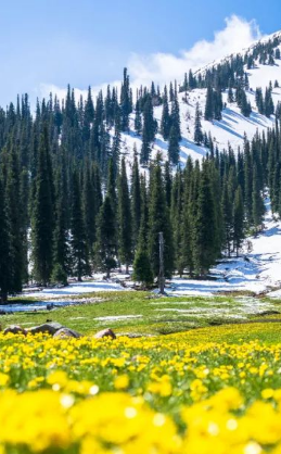 徐州出发！新疆伊犁封神级玩法，这才是徐州人该去的避暑天花板