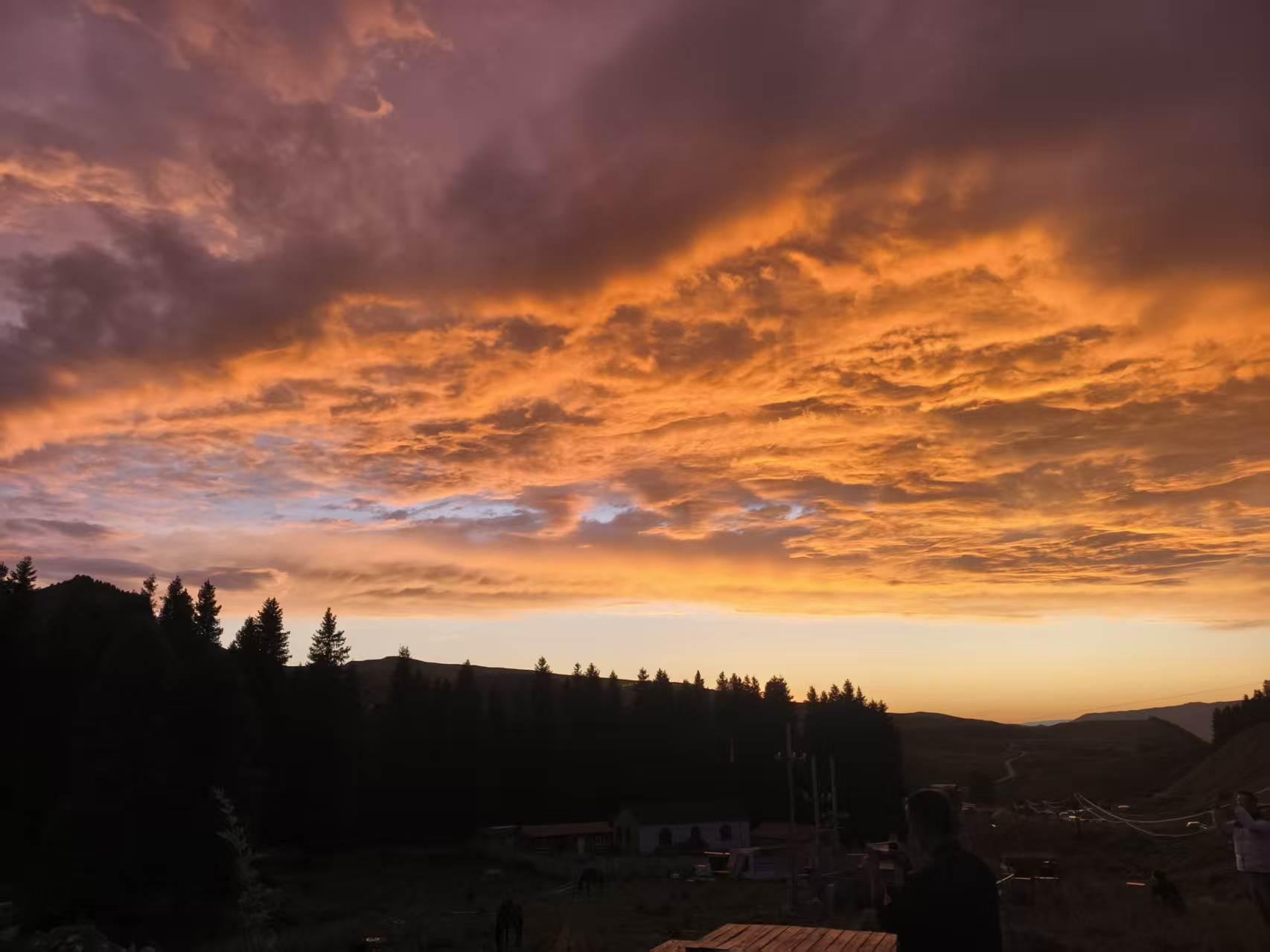 常州出发新疆旅游！伊犁全景《独伊无二》10日小团，纯玩0购物，报名电话及行程全攻略