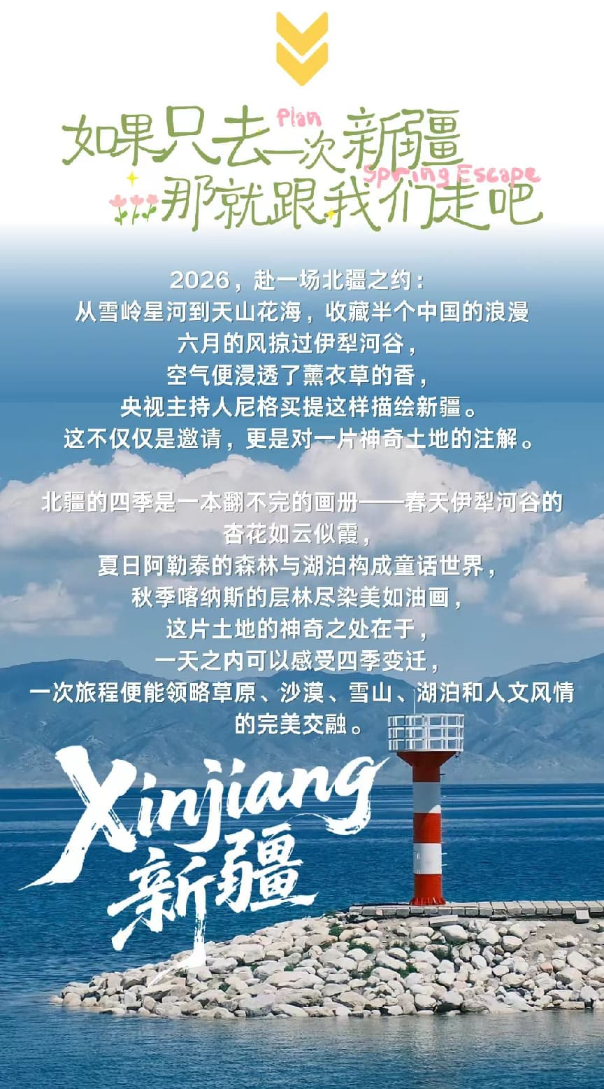 图片74 图片74