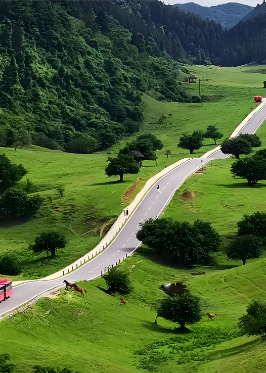 伊昭公路