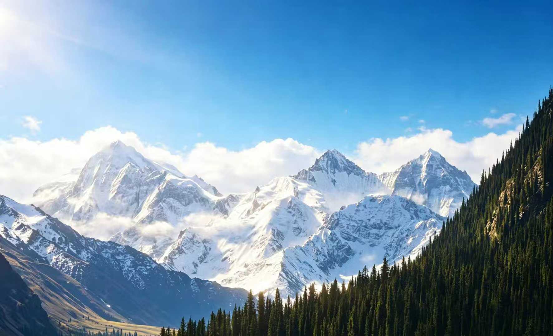 微信图片_2026-05-20_173936_446 微信图片_2026-05-20_173936_446
