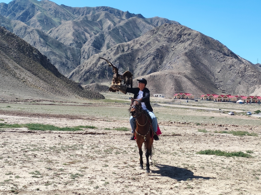 2026成都出发！新疆南北疆24天大环线，6人拼车小团，一次看尽天堂的模样