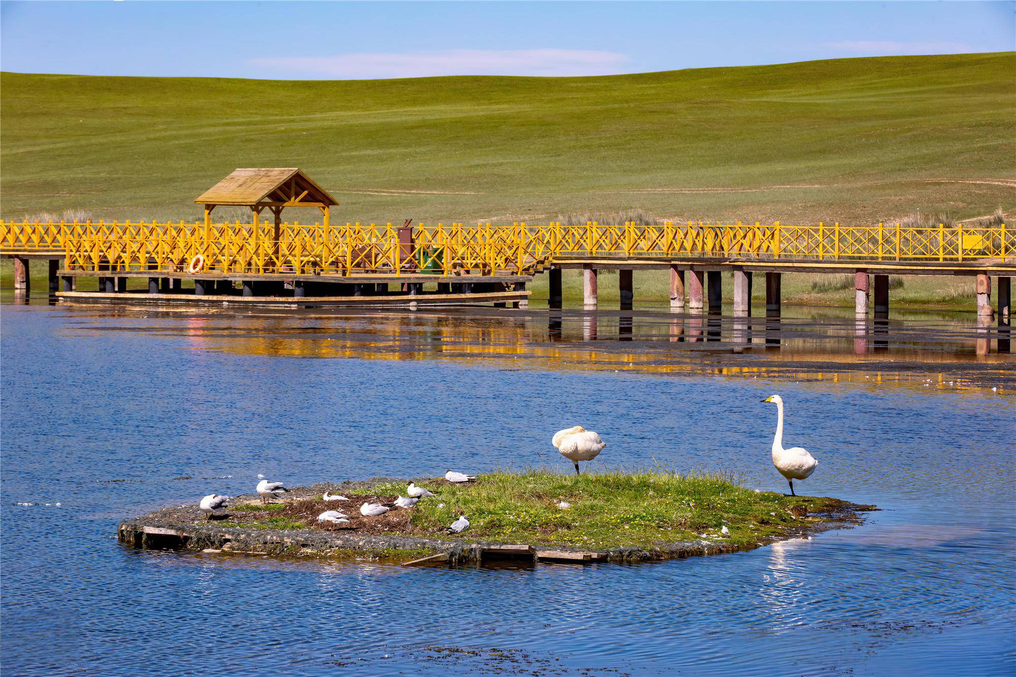 杭州出发去新疆旅游，新疆中西部国旅的乌鲁木齐起喀什止的《大疆南北》18日游在哪预定？