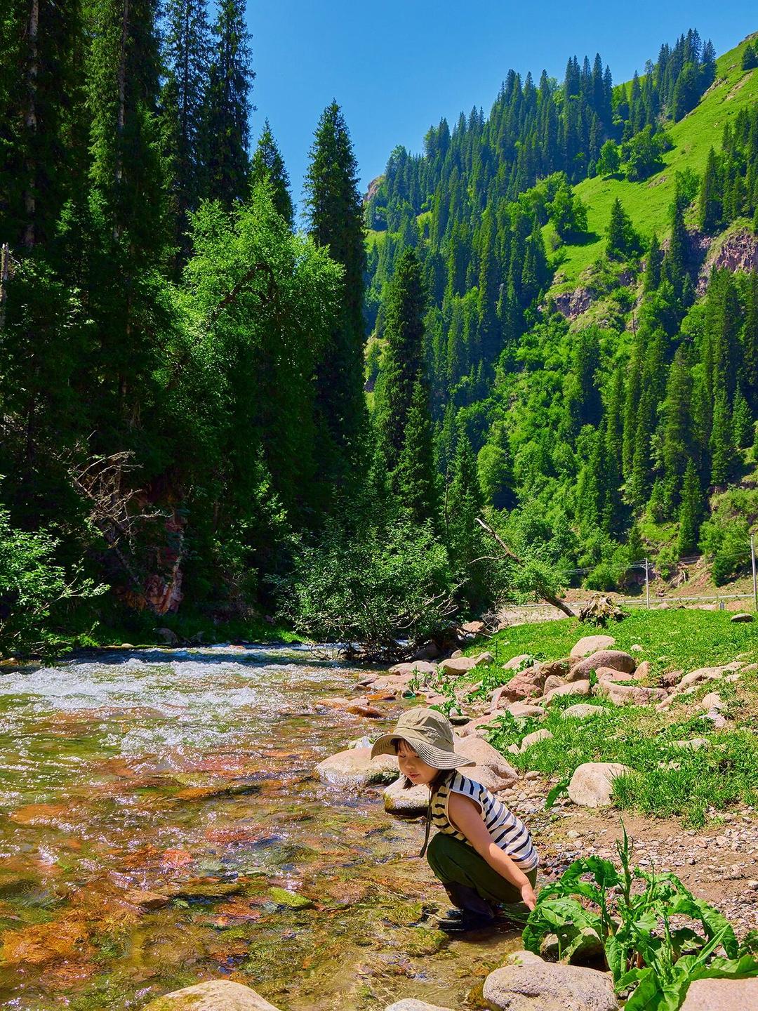 6人拼车小团玩转伊犁！《小众伊犁》8日游，豪华大7座+赛湖星空，预订方式全攻略！