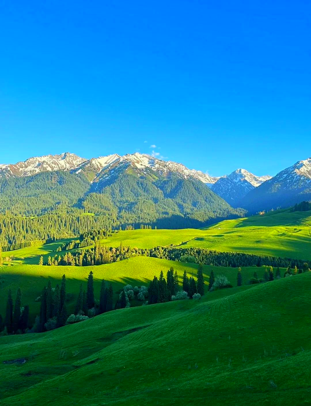 【2026新疆深度游】新疆中西部国旅《南北疆24天大环线》6人拼车小团全攻略：独库公路+帕米尔+沙漠，一篇看懂怎么玩！