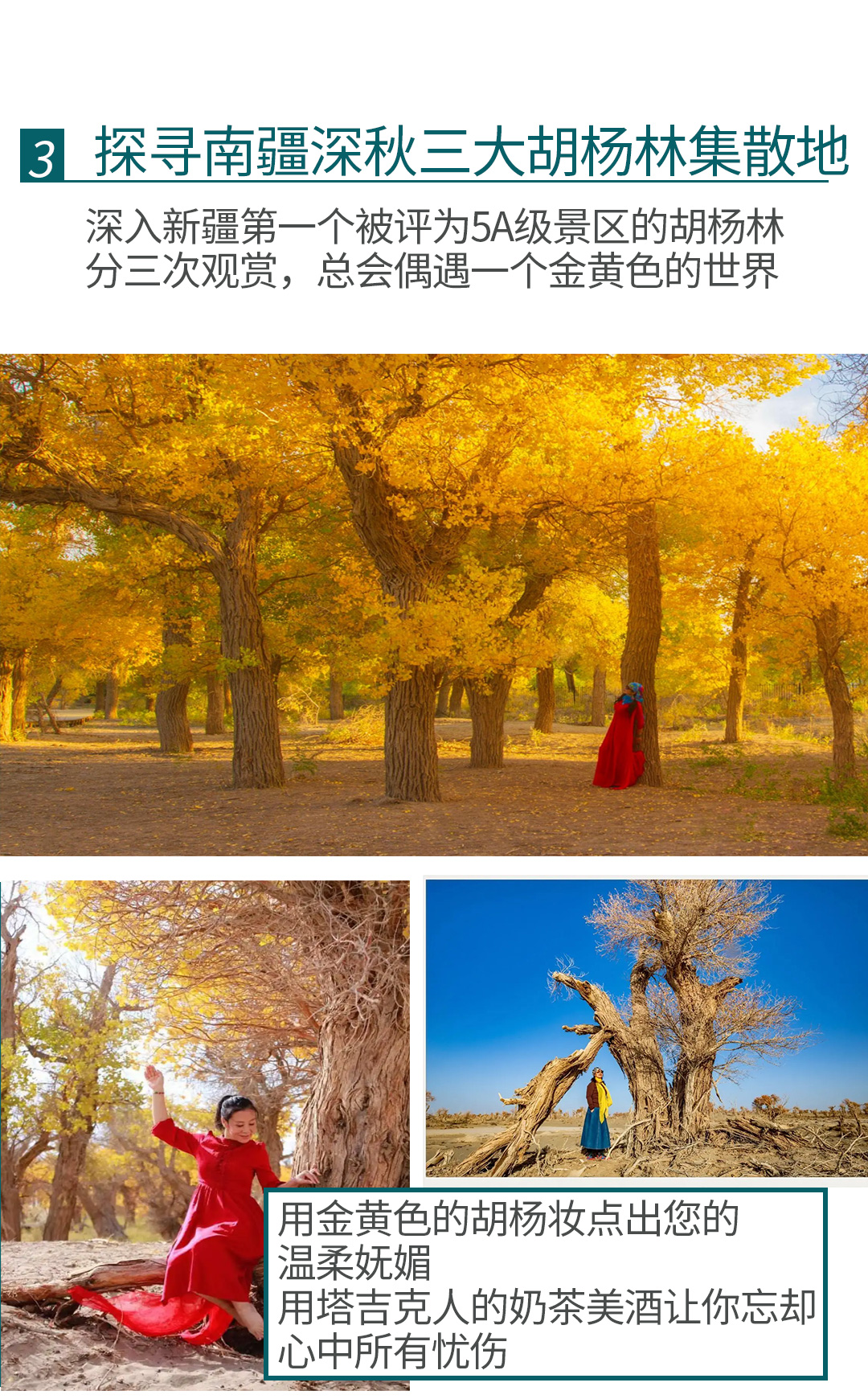 绝色南疆16日_11