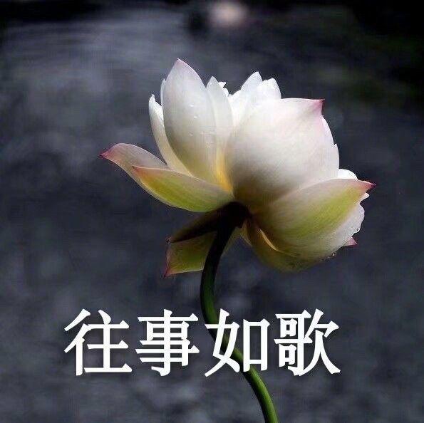 人物画比