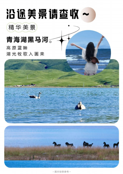 图片54 图片54